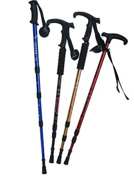 Camping Crutches