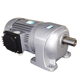 gear induction motor 