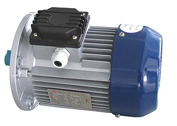 Y Series Three-phase Asynchronous Motor