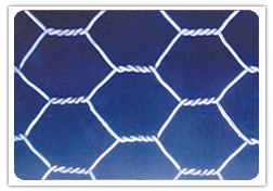 hexagonal wire mesh