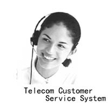 Telecom Customer Service System