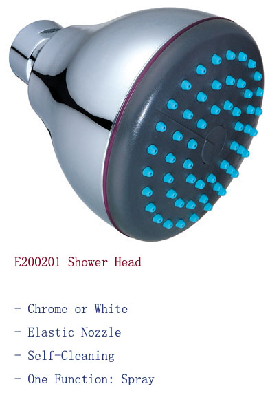 shower head