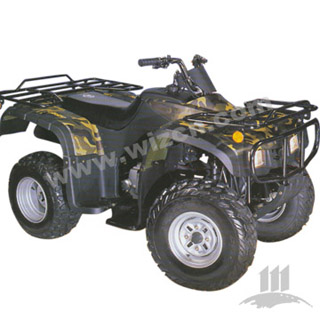 ATVs (WZAT2501)