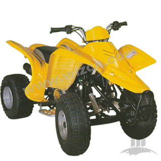 ATVs (Quad bike) (WZAT1102)