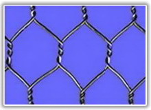 Hexagnal Wire Netting