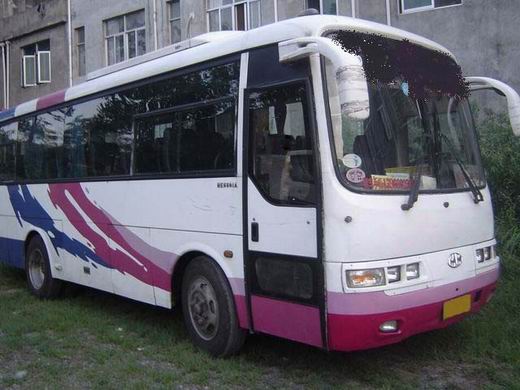 hyundai buses