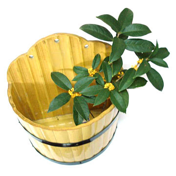 Bamboo Flowerpots