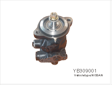 Automobile Parts - Power Steering Pump for Nissans (YB309001)