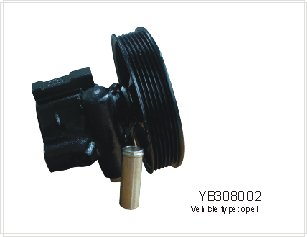 Power Steering Pump for Opels (YB30802)