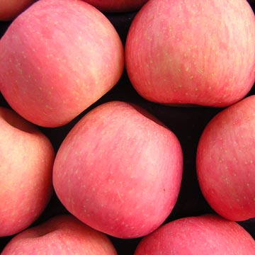 Fuji Apples