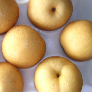 Fengshui Pears