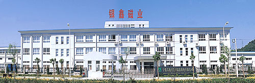 Ningbo Daxie Developing District Yinxin Magnetic Industry Co., Ltd