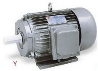 Y Series Three-Phase Asynchronous Induction Motor