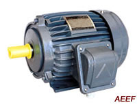 Standard Three-Phase Induction Motor 