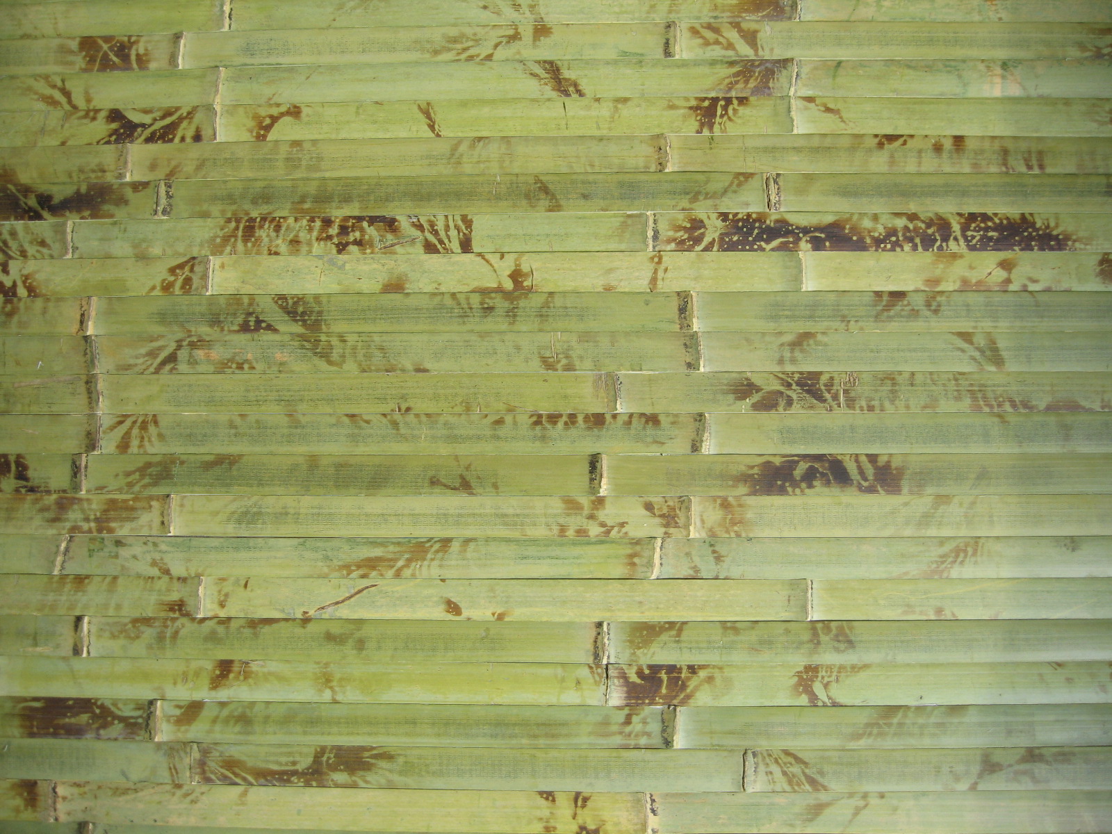 Anji Bamboo Pattern Wallpapers