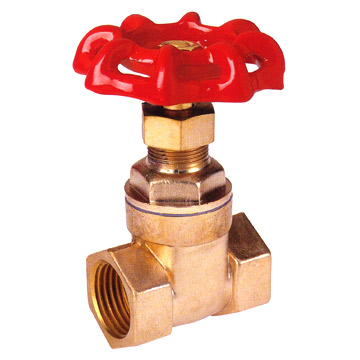 gate steam valve 