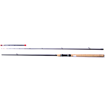 boat fishing rod 