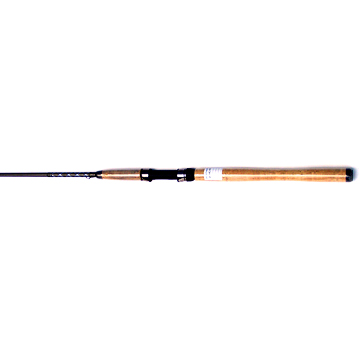 boat fishing rod 