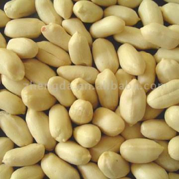 Blanched Peanut Kernels