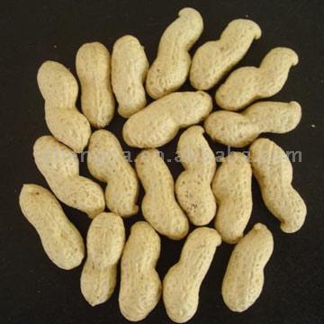 Peanuts In Shells