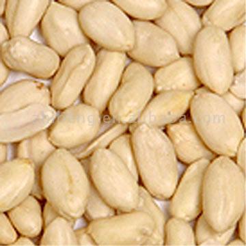 Blanched Peanut Kernels