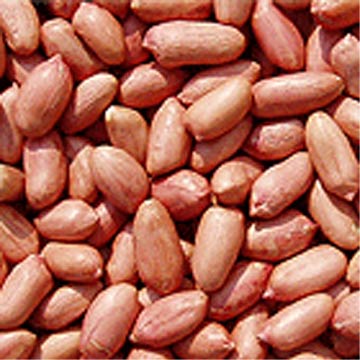 Roasted Peanuts with Red Skin