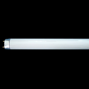 T8 Fluorescent Lamps