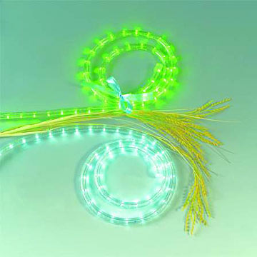 LED Rope Lights