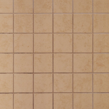 Polished Vitrified Tile