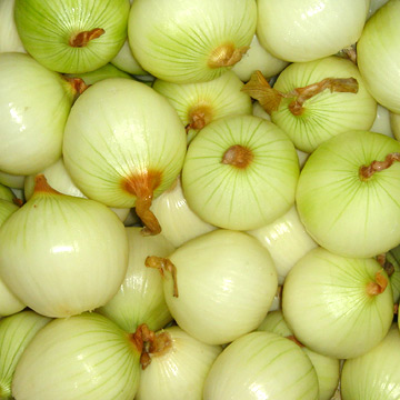 Fresh Peeled Onions