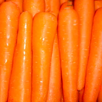 carrot recipe 