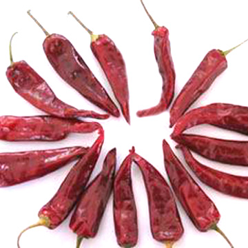 Chilli and Red Peppers