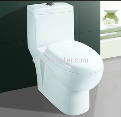 one piece washdown toilet