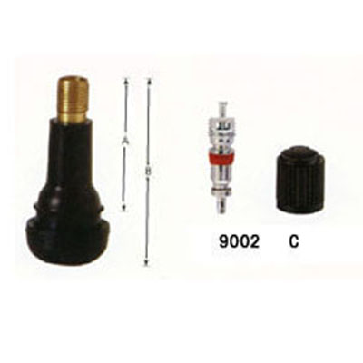 Tubeless snap-in valves