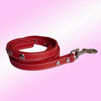 Dog Lead