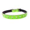 Reflective Dog Collar