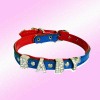 Dog Collars