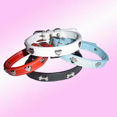 Pet Collar