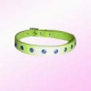 Cute Dog Collar