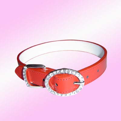 rhinestone Dog Collar