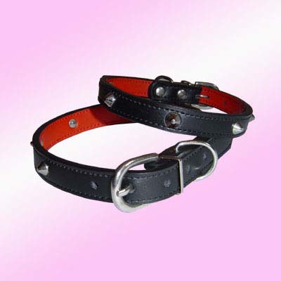 leather Dog Collar