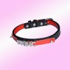 Rhinestone Dog Collar