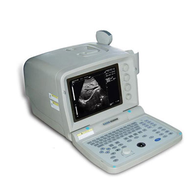 Portable Digital Ultasonic Scanner