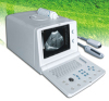 Vet Ultrasonic Diagnostic