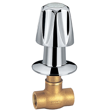 Brass Valves