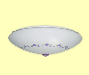 PIR Ceiling Lamp