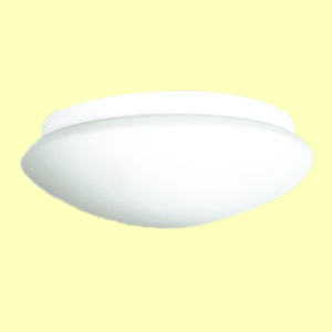 PIR Ceiling Lamp