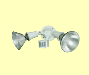 PIR Wall Lamp