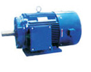 Y series motor