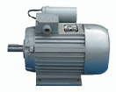 TYSZ Pm Ac Servo Motor